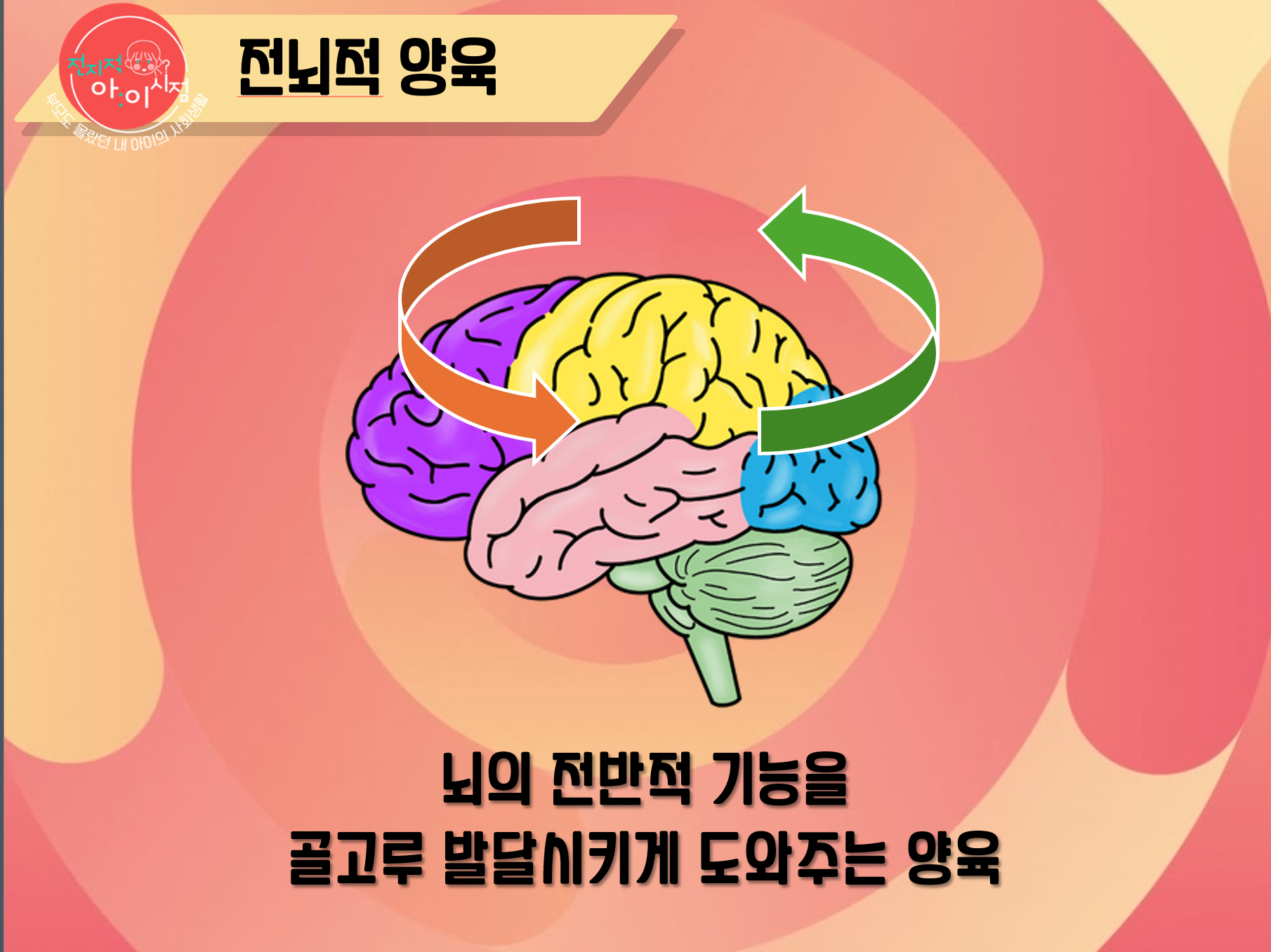 6. 전뇌적 양육 이론 바탕의 생활 지도 솔루션